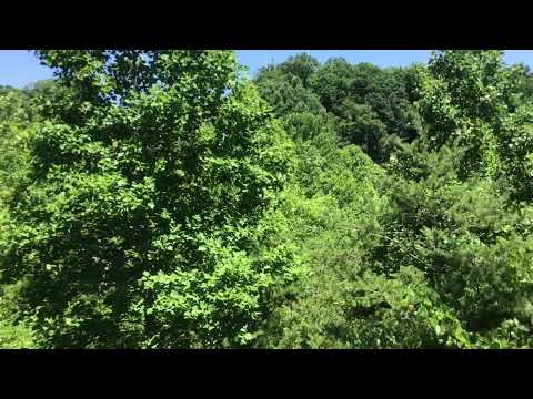 Trip to Marshall Plane Crash 1970