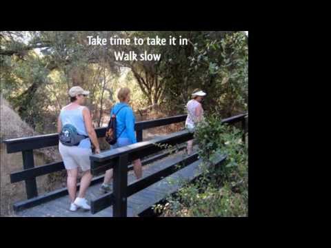 Karen Lynne - Walk Slow
