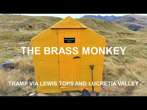 The Brass Monkey - TRAMP Via Lewis TOPS and Lucretia VALLEY