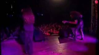 Saratoga El Gran Cazador