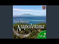 Silenzio cantatore