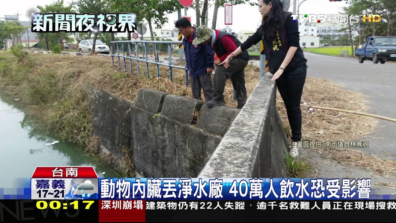 動物內臟丟淨水廠　40萬人飲水恐受影響