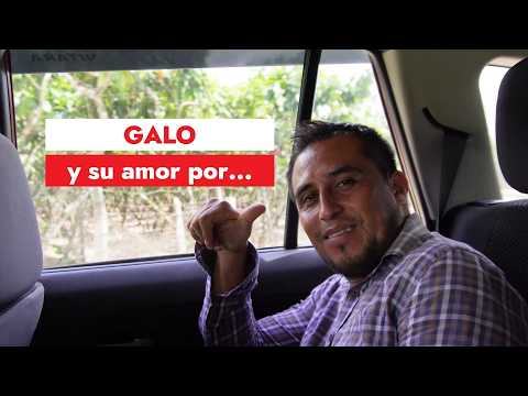 Galo y su amor por fincas y terrenos agrícolas en Santa Rosa, Arenillas y Piñas - El Oro - Ecuador