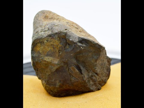 309g Carbonaceous Chondrite Meteorite
