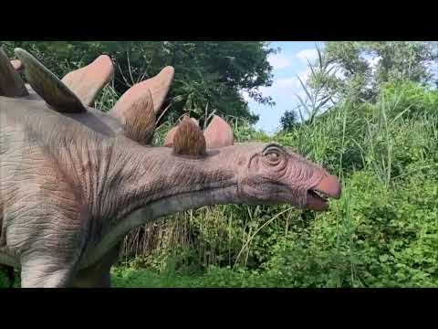 Field Station Dinosaur