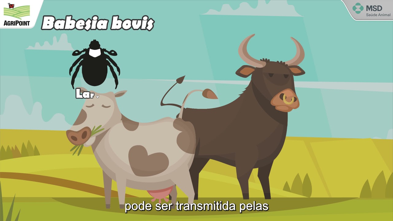 Minuto EndoEcto: Conhecendo a Tristeza Parasitária Bovina (TPB)