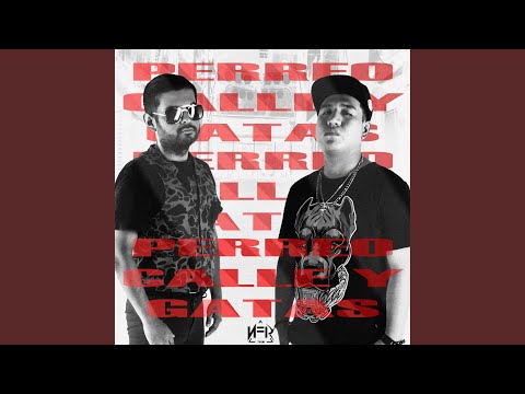 Perreo, Calle y Gatas (feat. MitchelAngel)