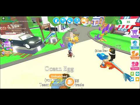 Schon wider mädchen scammer 2.0