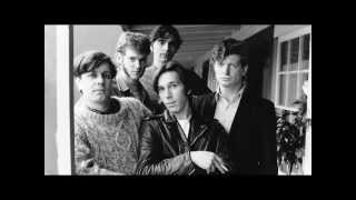 The Fleshtones Candy A$$