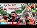 EKLAVYA Top Quality Hallikar Bull Facts by Varthur Santhosh at Krishi Mela 2021 Bangalore Karnataka