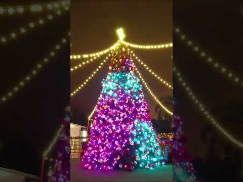 The Giant Christmas Tree Is Back! Hong Kong WinterFest 2023 🎄 | 香港繽紛冬日巡禮 2023 🎄