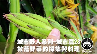 [問卦] 有什麼不用洗又營養的菜嗎?