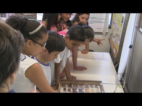 Divulgação Científica para crianças