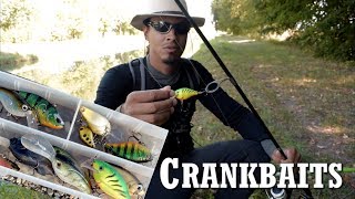 One of THE BEST lure the CRANKBAIT ¦ Animation of the lure (perch, pike, catfish