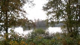 preview picture of video 'Wanderung Leukermeer, Mittwoch, 15.10.204'