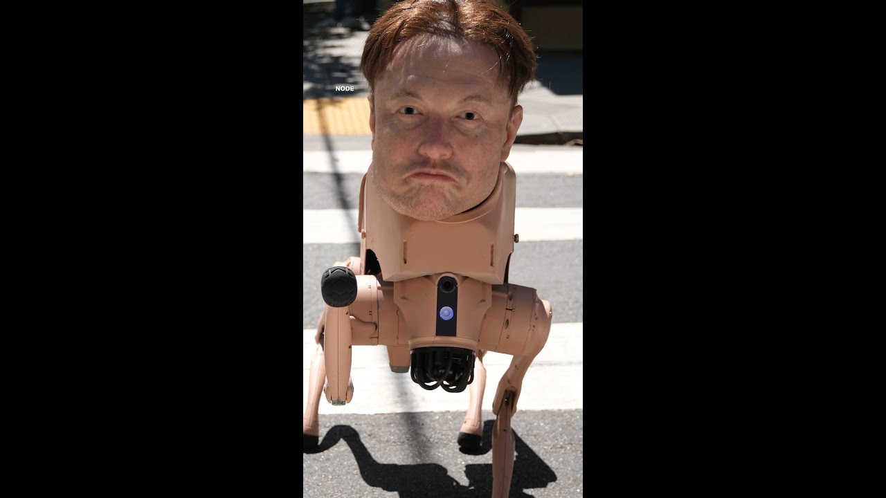 Real dogs meet Elon Musk robot dog