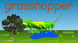 Insects Vocabulary and Spelling Chant for Kids.