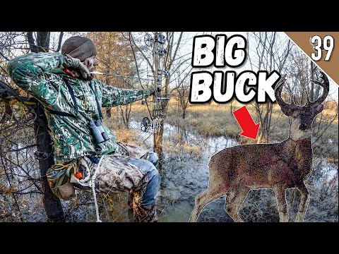 ARKANSAS SWAMP BUCKS!!! (Bow Hunting Public Land)