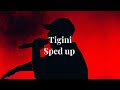 Tigini - sped up
