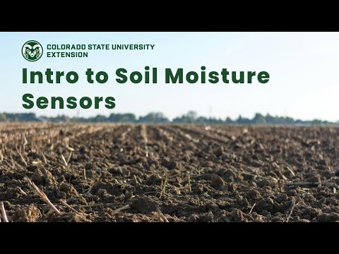 Play Video Youtube Video