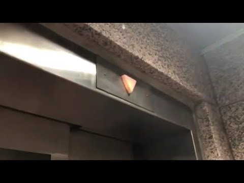 Westinghouse Hydraulic Elevators @ Steel Plaza Station - Pittsburgh, PA.