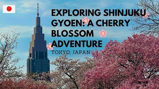 Exploring Shinjuku Gyoen: A Cherry Blossom Adventure in #Shinjuku, #Tokyo  2024🌸 #sakura #japan
