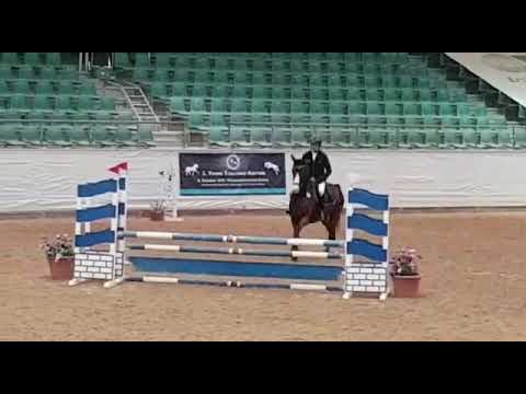 Aminati *13, a Lee Spring Power x Noble Champion