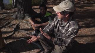 Hidden Heritage: People Are More Native Than the Forest