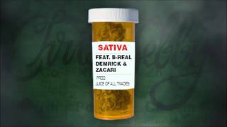 Chris Webby - Sativa (feat. B-Real, Demrick & Zacari)