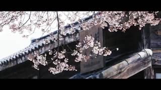 혼불 의 배경 서도역 8K 영상, 꽃은 흩날리는데 - 신찬호 작가  - 픽프매거진