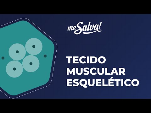 Tecido Muscular Esquelético - Histologia Humana - Me Salva! Saúde