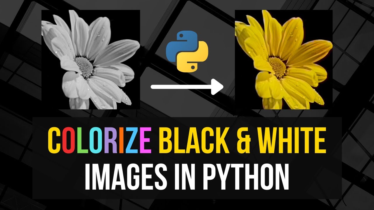 Colorize Your World: Python's Magic in Black & White