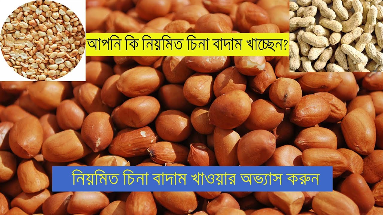 Health Benefits Of Peanuts (Bangla Voice). চিনা বাদামের উপকারিতা