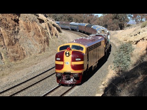 4204, 4716 & 4702 - The Orange Day Train - 1st July 2017