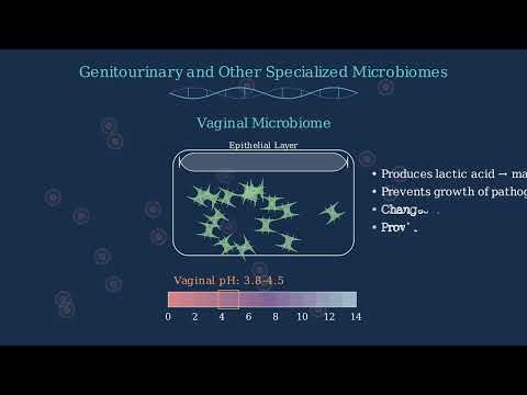 Human Microbiome and Normal Flora of Human Body - Video