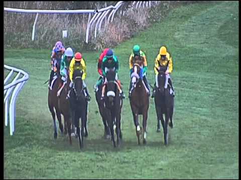 Galoppo 31/01/2016 - 3° corsa