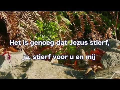 Opwekking 223 Jezus, uw naam zij d' hoogste eer 1B