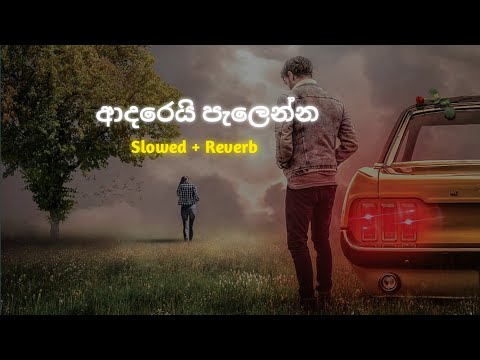 Adarei palenna (ආදරෙයි පැලෙන්න ) samith k senarath [ Slowed and Reverb ]