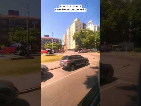 Montevideo 🇺🇾 paseando por Pocitos por las calles Canelones y Avenida Brasil.