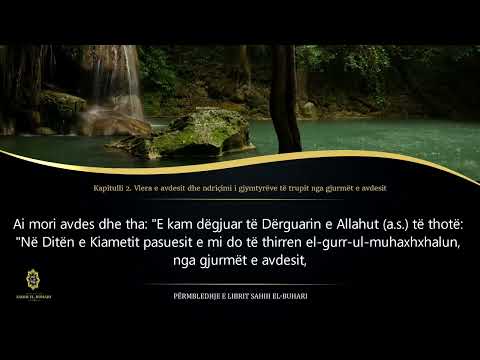 02.Vlera e avdesit dhe ndriçimi i gjymtyrëve të trupit nga  gjurmët e avdesit