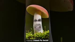 Mushroom ki Tension  Comedy Per Second #shorts #jo