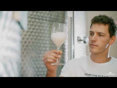 Vinakoper predstavlja... Rok Jamnik, enolog kleti Vinakoper