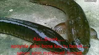 Download lagu anak bocek Lagu Rakyat Negeri Sembilan mp3