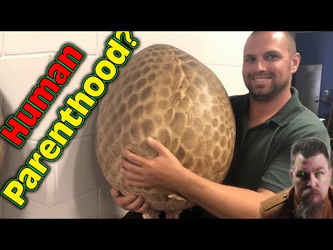 A HFY Story : Parenthood & ...surprise will be total. | 2146 ~Deathworld, War, Terran and Humans