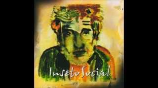 Inseto Social - Peixes Voando Em Direção Ao Aquário