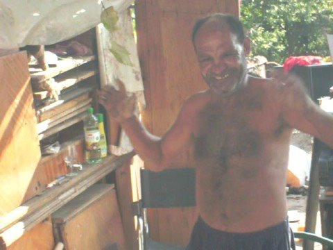 tudorica de la dalga