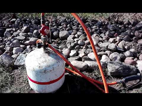 Sposób na kreta, nornice lub karczownika 100% skuteczny