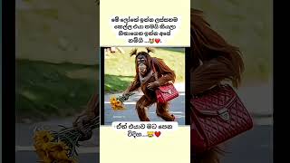 Download lagu ඔයාගෙ නම්ගිත් මෙ වගෙද..😹😹.#foryou #trending #viralvideo mp3