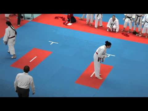 JKA European youth and veterans championship 2013 Krusevac