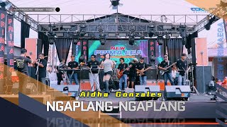Download lagu NGAPLANG-NGAPLANG - AIDHA GONZALES 'NEW PRIMAEGA' || DS.MUNJUNGAGUNG RT:04/RW:05,KEC.KRAMAT-TEGAL mp3